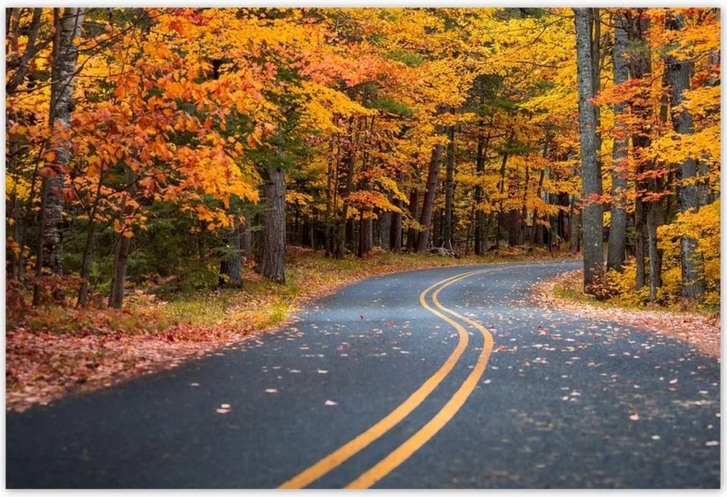 Poszterek 155x105 Tájkép