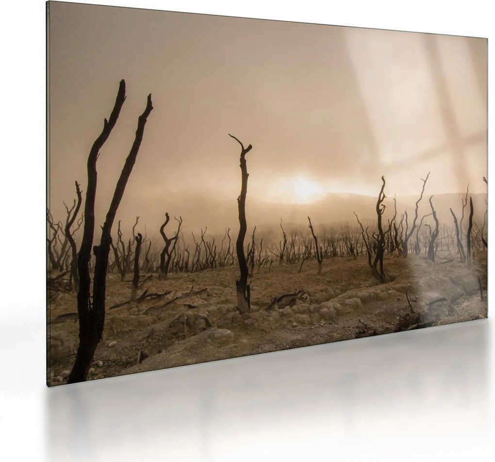 Kép - Csupasz fák (üvegen) (70x50 cm)