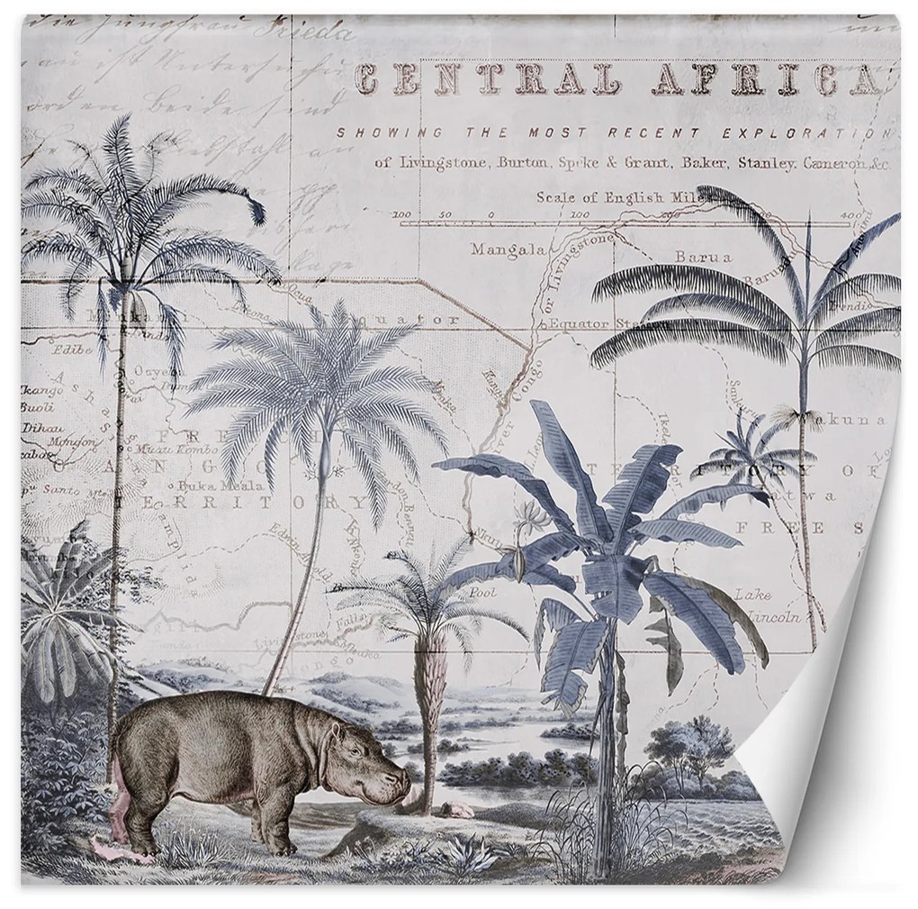 Gario Fotótapéta Kék háttér Hippopotamus állatok - Andrea Haase Anyag: Vlies, Méret: 200 x 200 cm