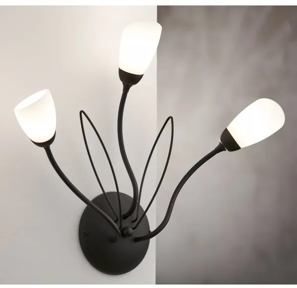 Jupiter 2059 - GLORIOSA fali lámpa 3xG9/14W/230V fekete