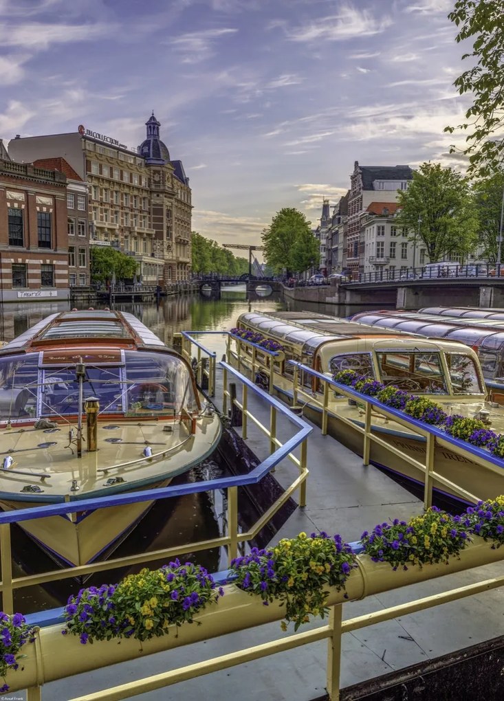 Poszter 39,5x55cm Kikötött hajók Amszterdamban, Assaf Frank