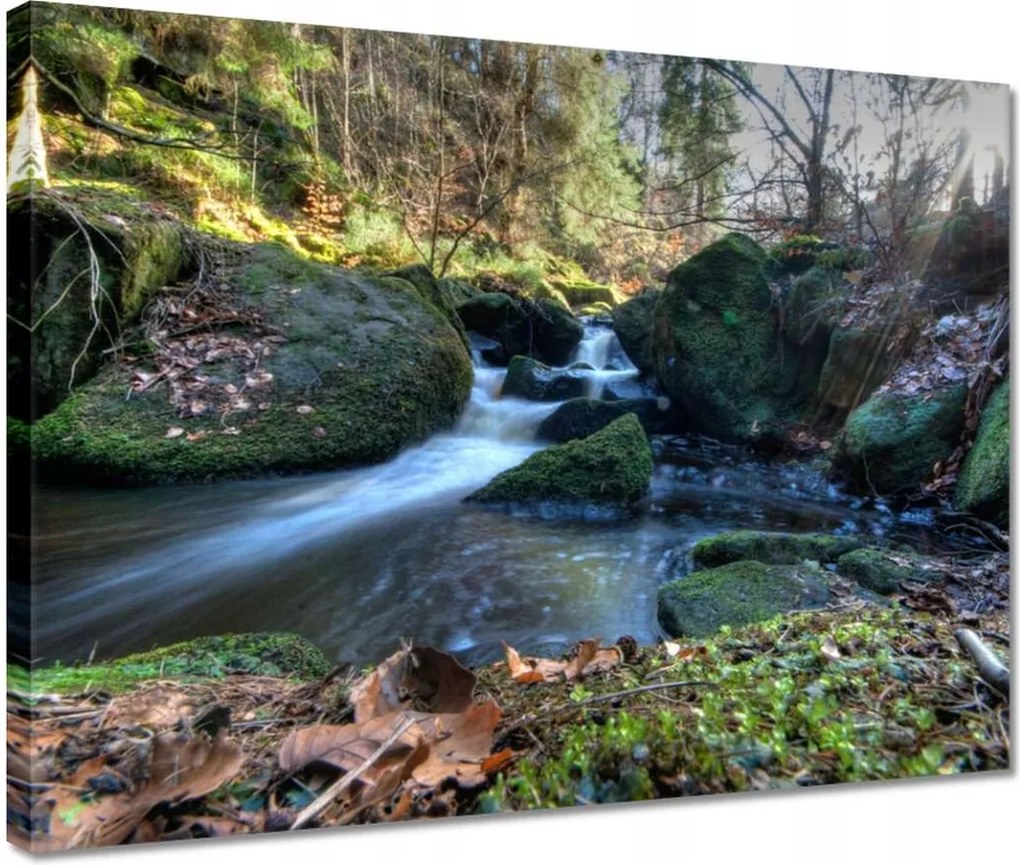 Vászonkép 40x30 Kéz a hegyekben