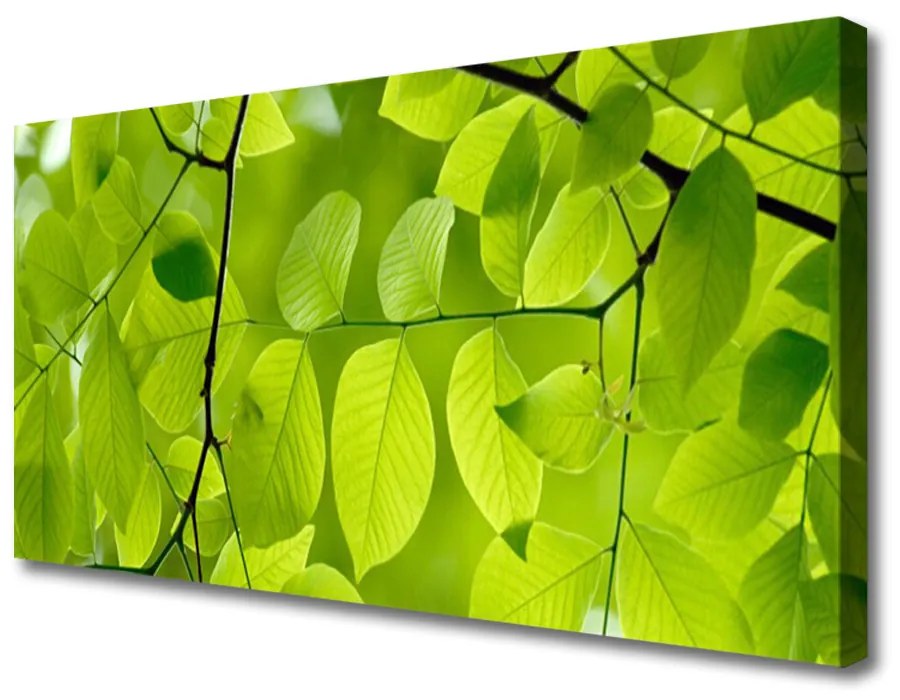 Vászonkép falra Elhagyja Plant 140x70 cm