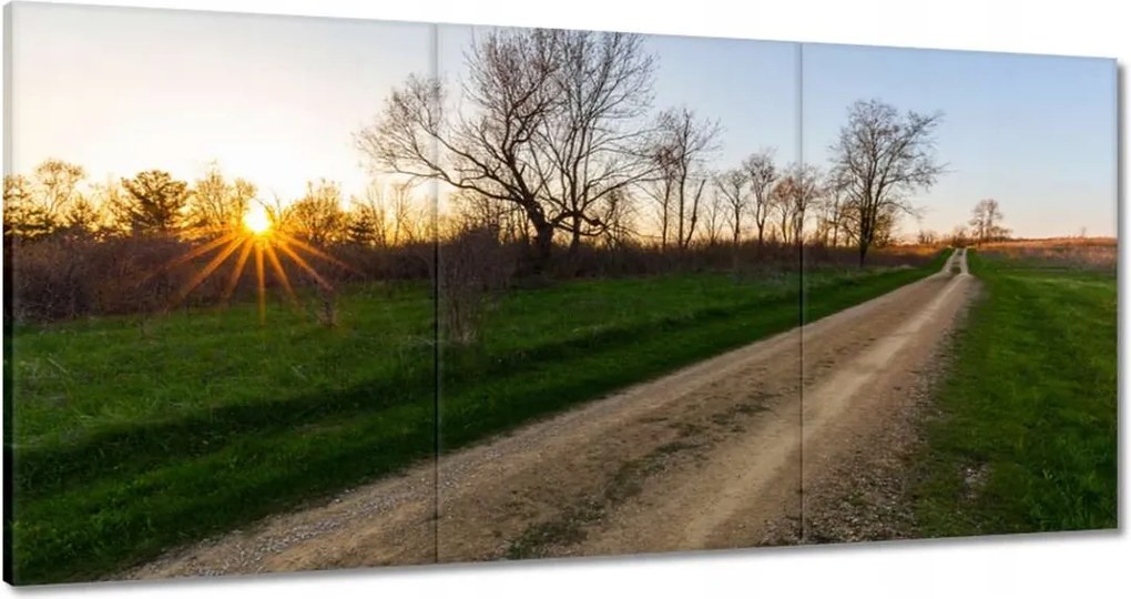 Festmények 120x60 Mezei út Fák Mezők