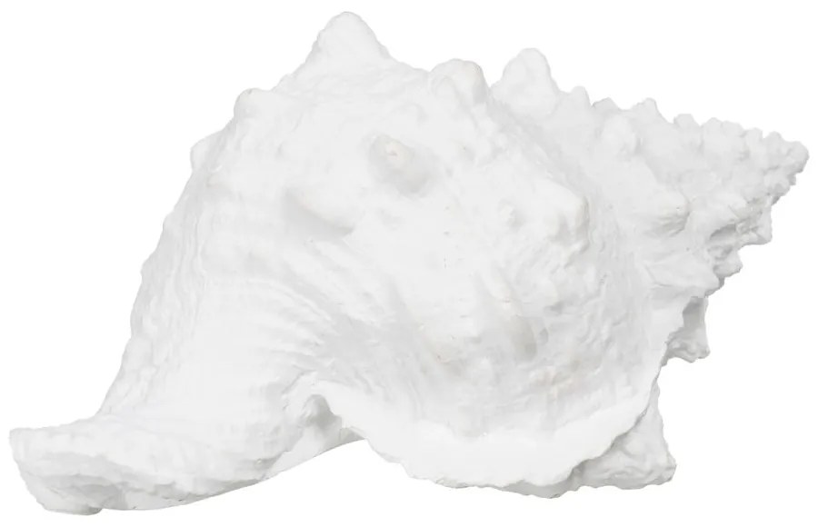 Poligyanta szobor (magasság 12 cm) Seashell – Ixia