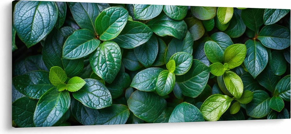 Kép - Zöld növények (120x50 cm)