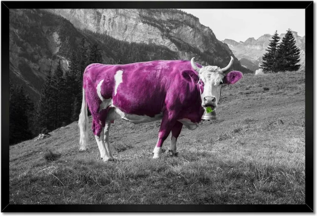 Poszter keretben 60x40 Lila tehén Emilka