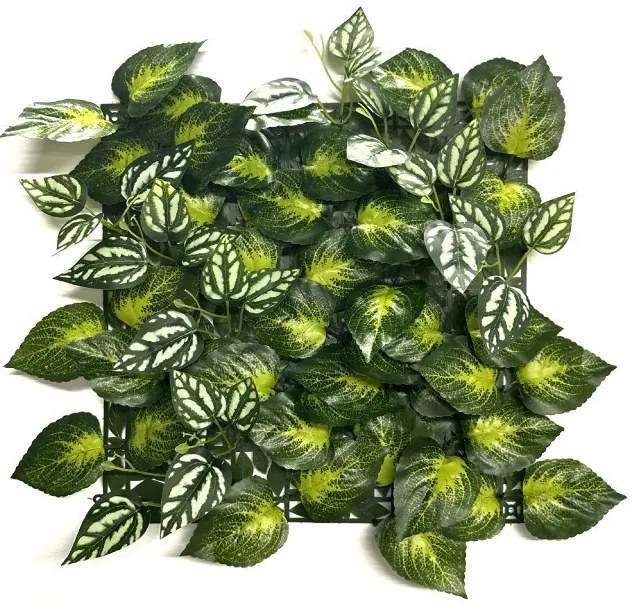 Aureus műanyag zöldfal 33x33 cm