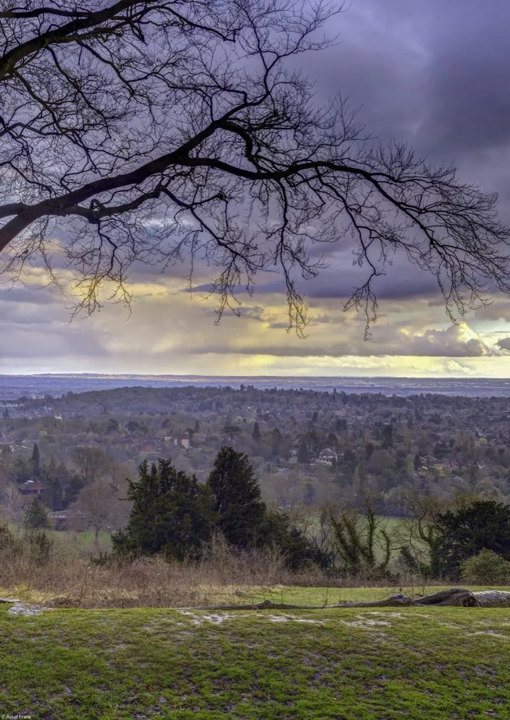 Poszter 29,7x42cm Reigate Hill 2, Assaf Frank