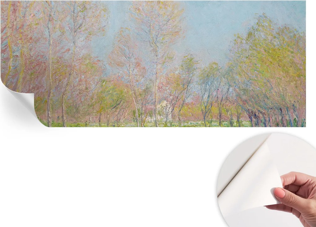 Fotótapéta Fali tapéta Hálószobába és Nappaliba Tavaszi park 250x104 cm