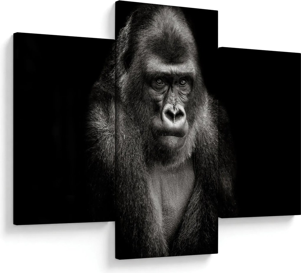 Kép - Gorilla (90x60 cm)