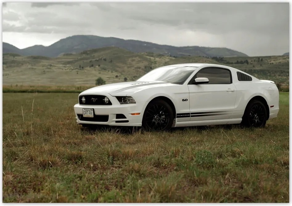 Fotótapéta flizelina 312x219 fehér Ford Mustang
