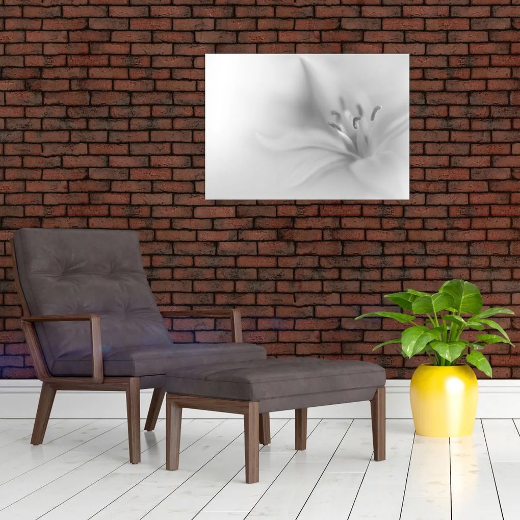 Kép - Delicate Lily (70x50 cm)