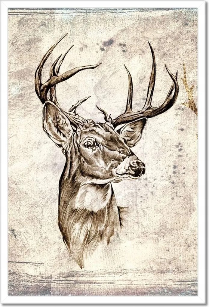 Poszterek keretben 40x60 Szarvas agancsok