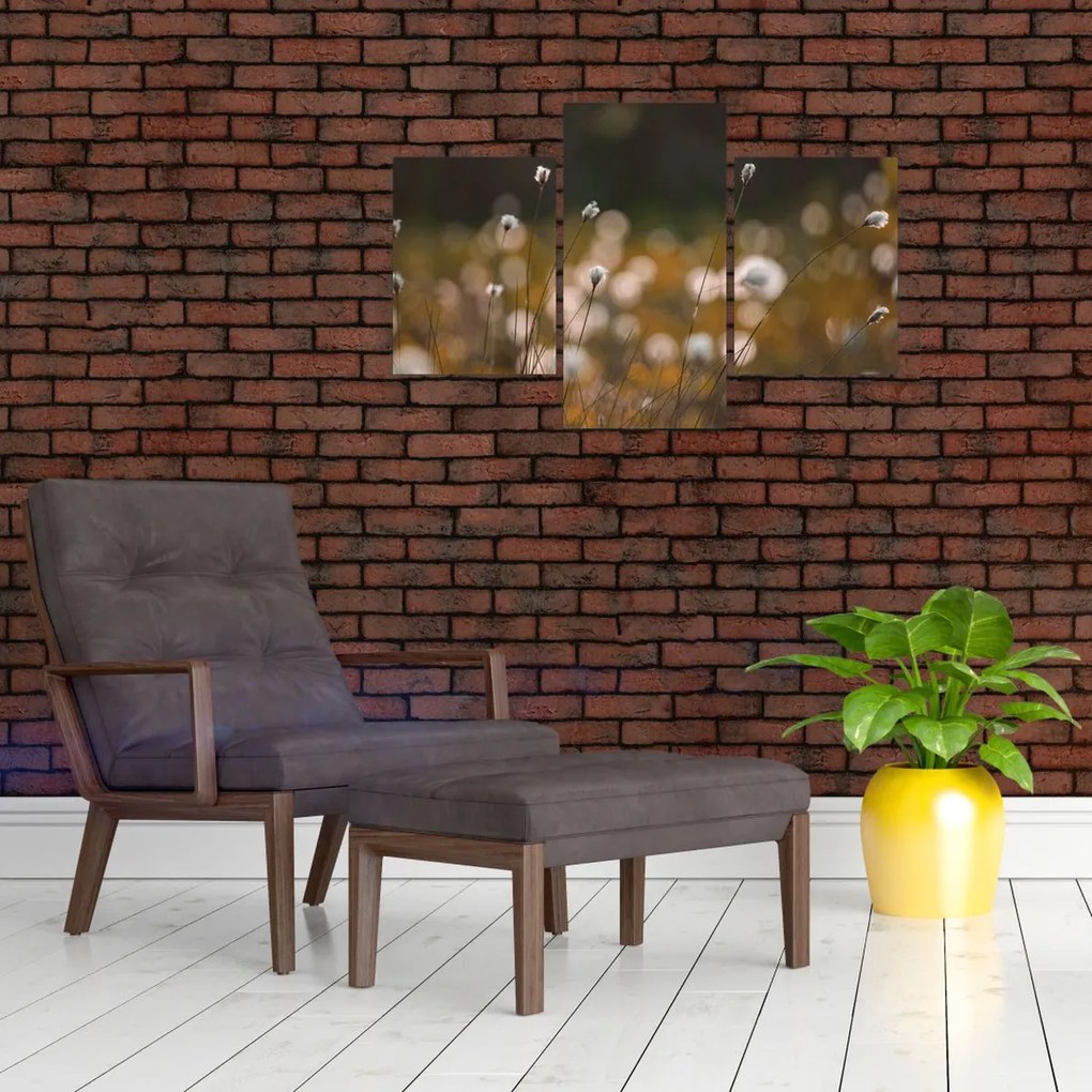 Kép - Gyapotfűvel borított rét N⁰2 (90x60 cm)