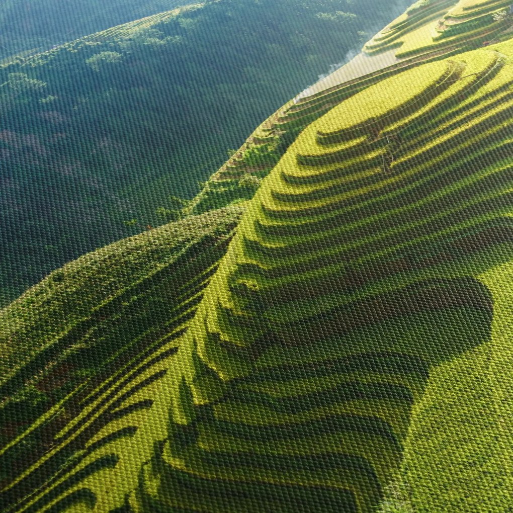 Kép - Rice Terraces koncert (120x50 cm)