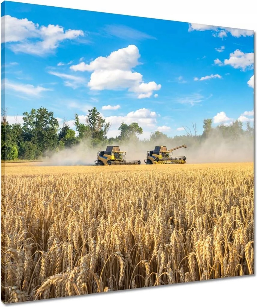 Vászonkép 60x60 Két fűnyíró kombájn