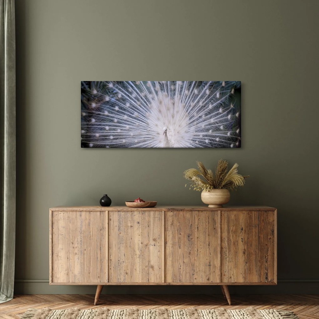 Kép - Fehér páva (120x50 cm)