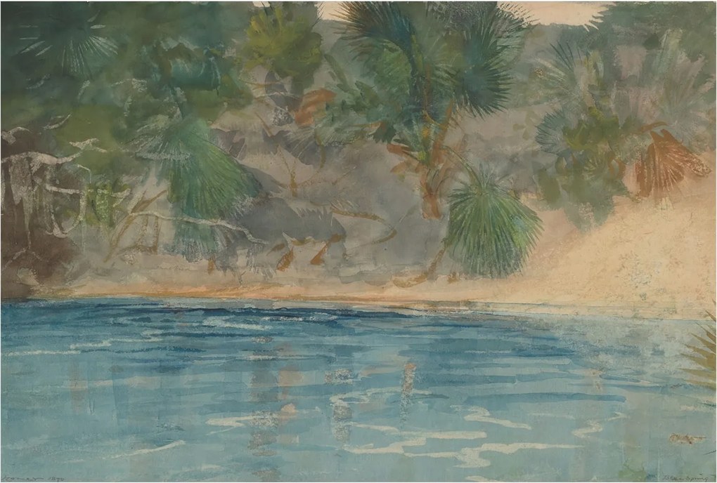 Fotótapéta Flizelin Dekoratív Hálószoba Trópusi part 104x70