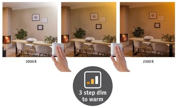 Paulmann 79799 - LED/19W Mennyezeti lámpa CARPO 230V 2300/2500/3000K