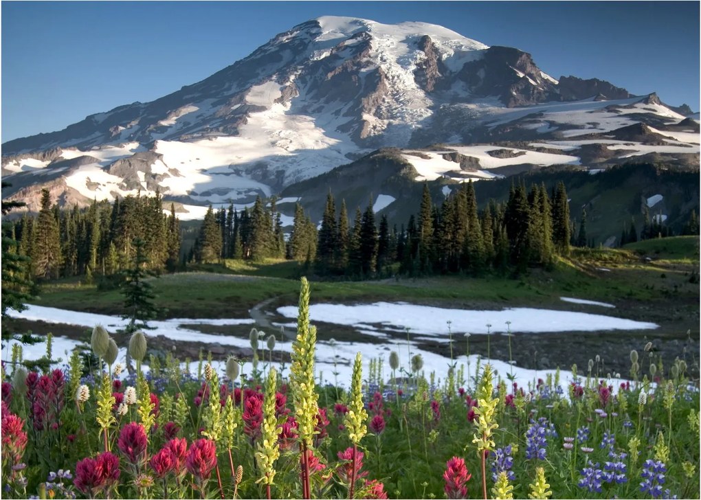 Kép - Mount Rainier (70x50 cm)