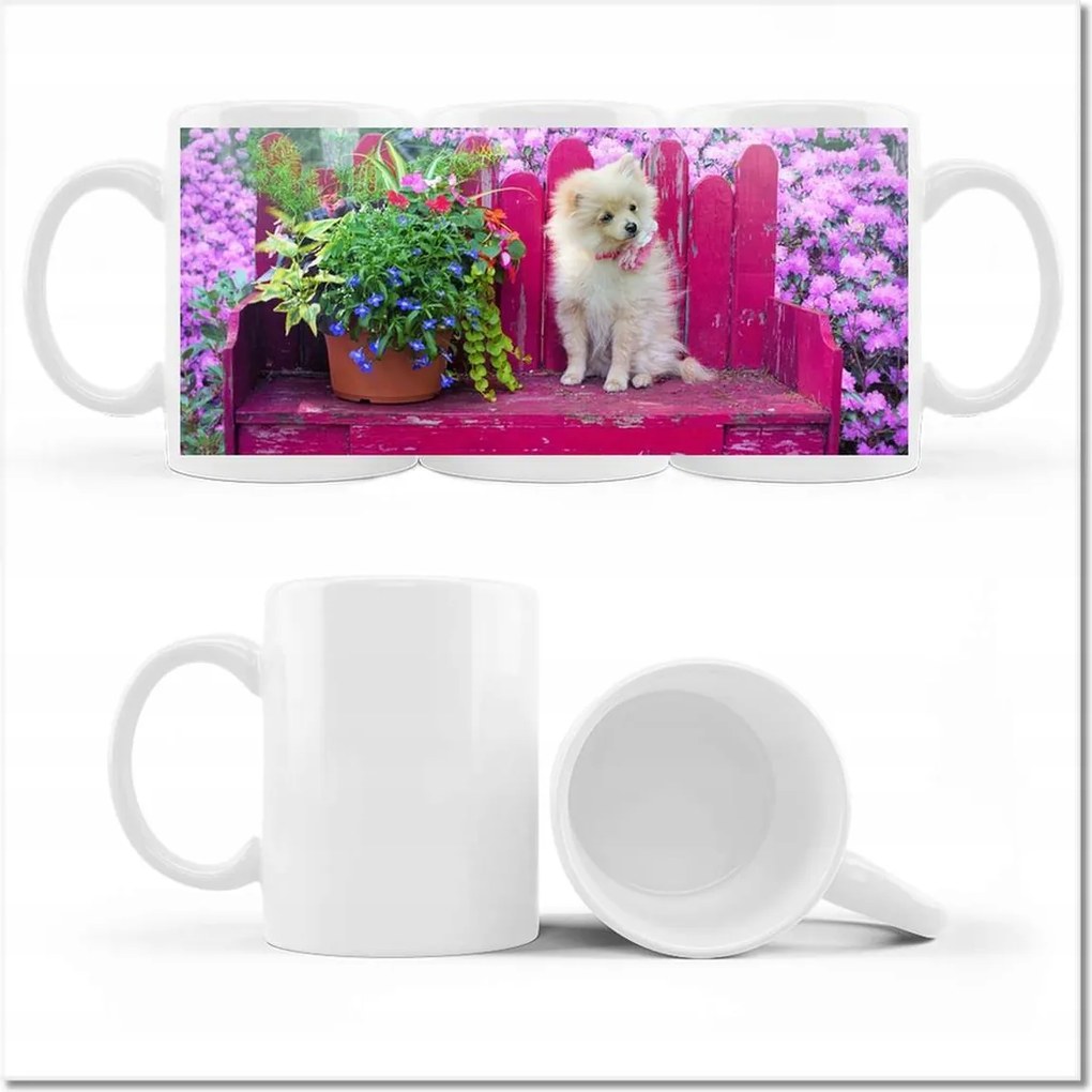 Kutyás fényképes bögre Kutyák