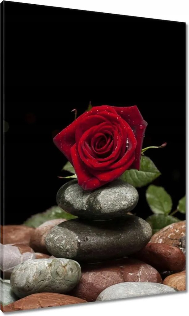 Vászonkép 70x100 Spa Wellness Relaxáció Víz