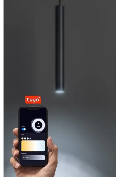 Rabalux 70132 - LED dimmelhető csillár zsinóron 1-fázisú sínrendszerhez LiTrack LED/5W/24V