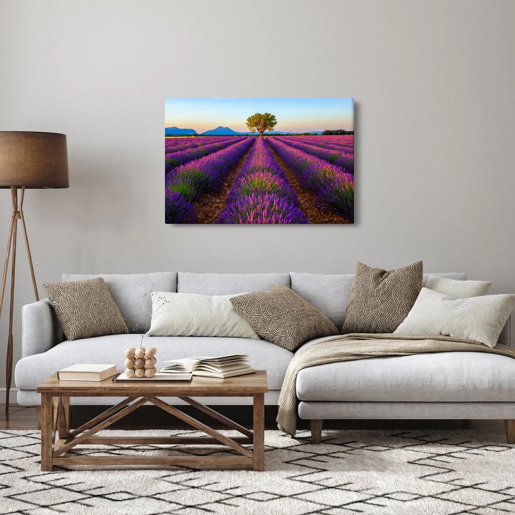 Kép - Levendula mező (90x60 cm)