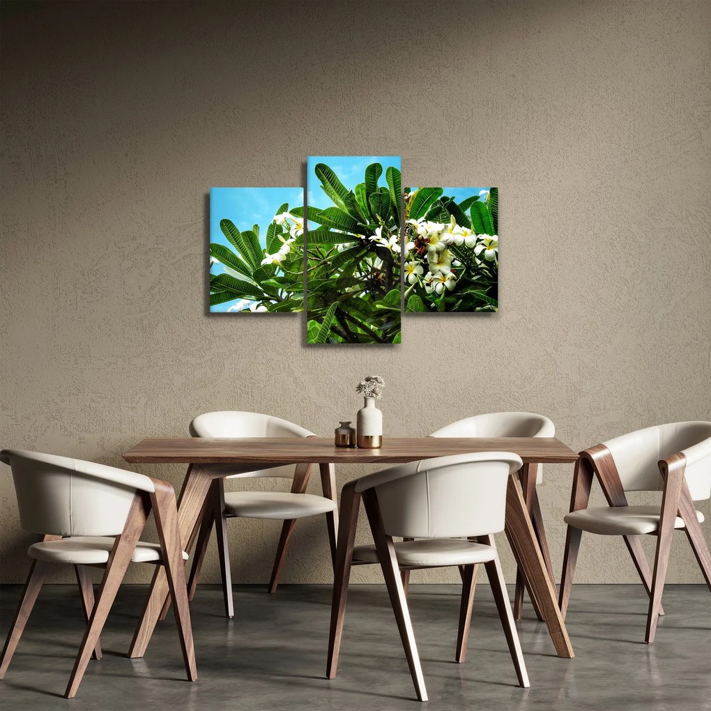 Kép - Plumeria (90x60 cm)