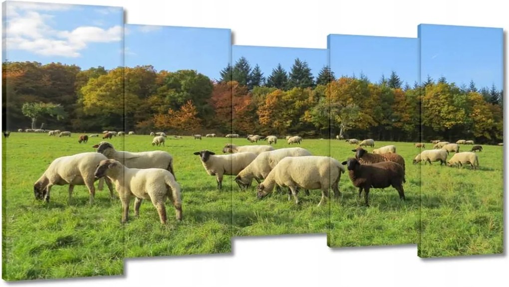 Vászonkép 150x80 Juh legeltetés Bárányok