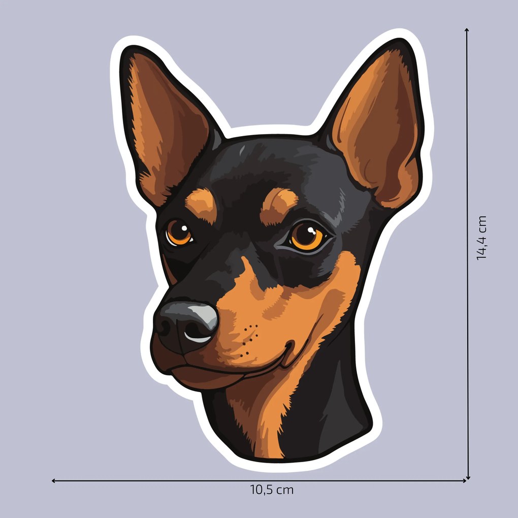 PIPPER. Matrica Miniatűr pinscher Méret: 15cm