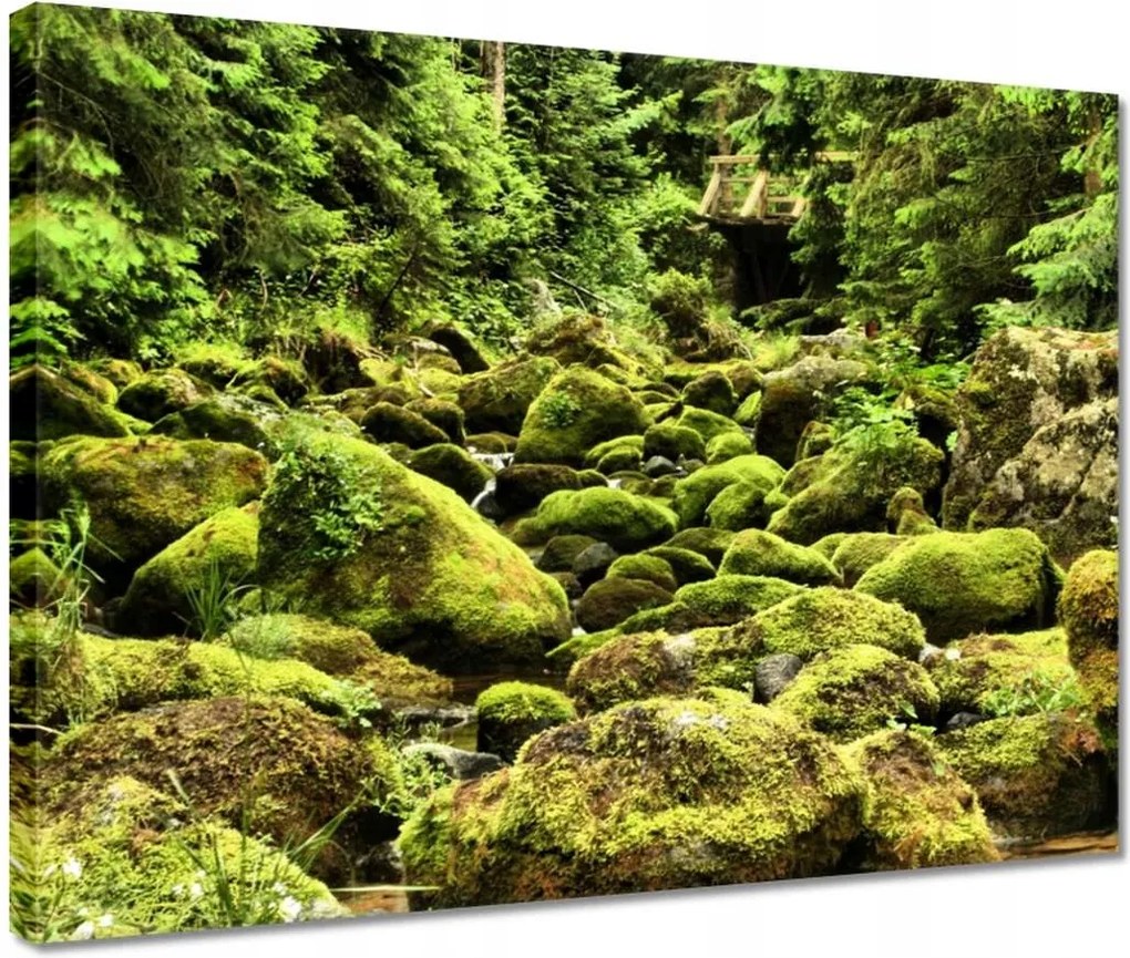 Vászonkép 40x30 Tátra Lengyel hegyek Kilátás