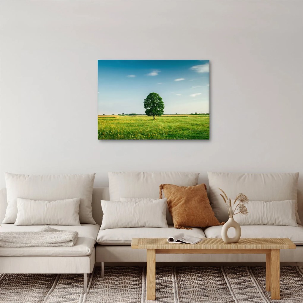 Fa képe a réten (70x50 cm)