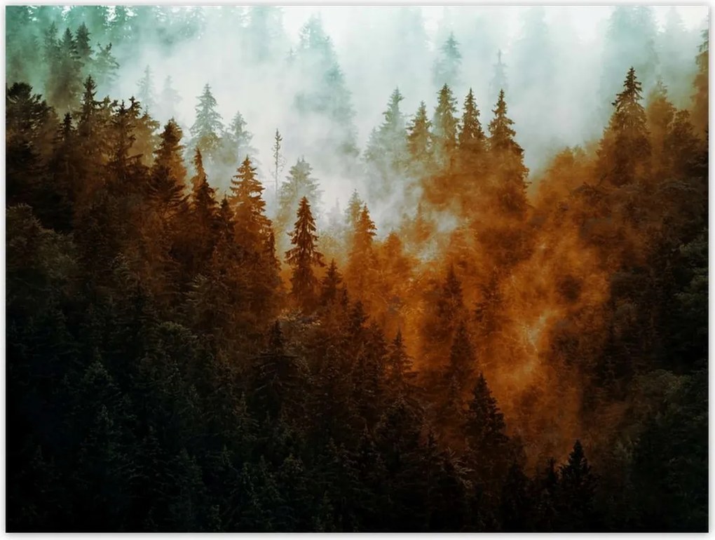 Poszterek 40x30 Őszi táj Hegyek