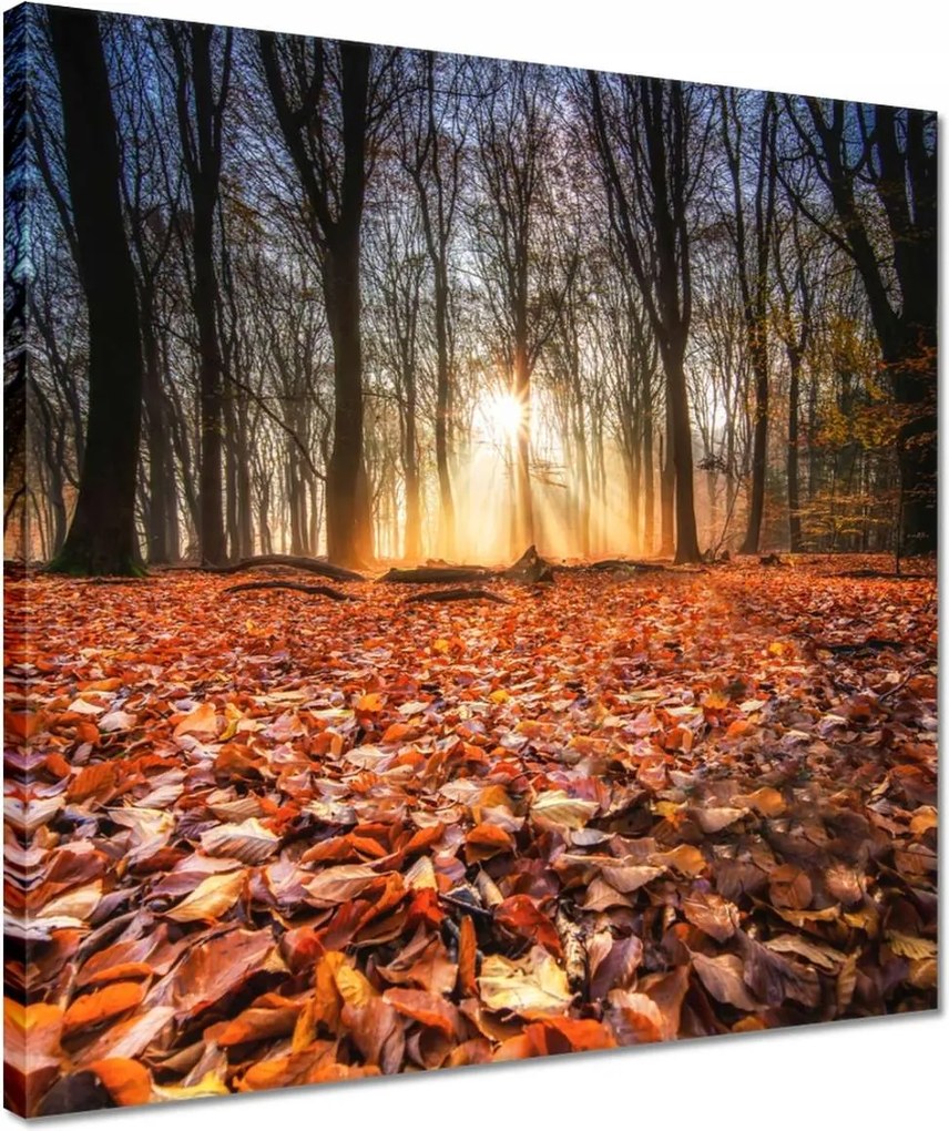 Vászonkép 40x40 Őszi kilátás Tájkép