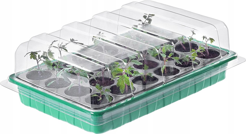 Mini Üvegház Magcsíráztató Tálca 24 Rekeszes