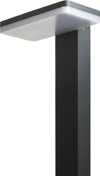 RENDL RINA állólámpa antracitszürke 230V LED 12W IP44 3000K