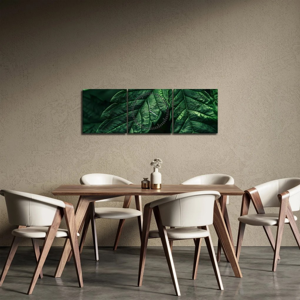 Kép - A lap részletei (órával) (90x30 cm)