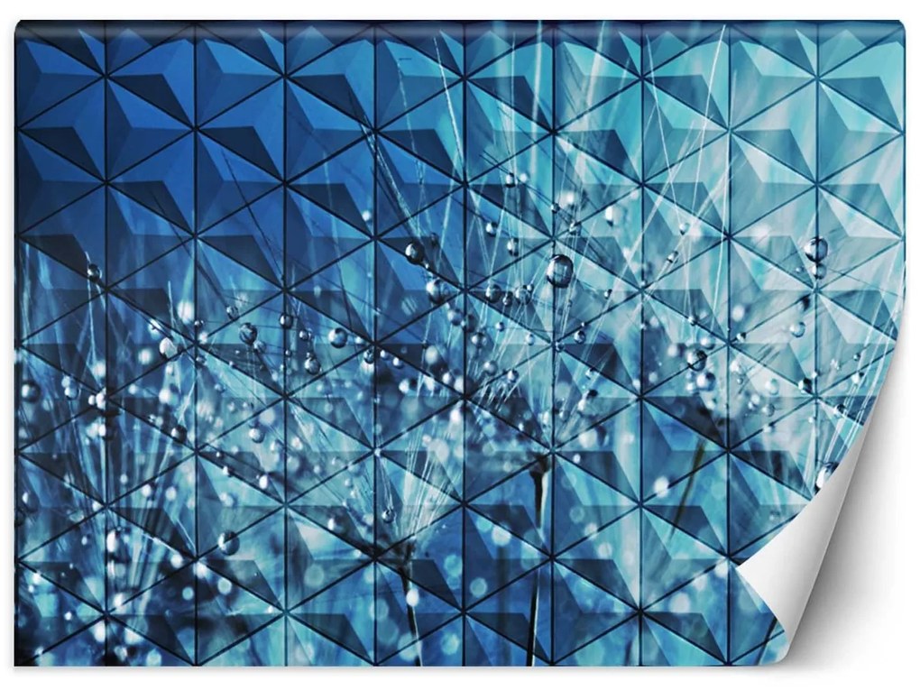 Gario Fotótapéta Harmatcseppek a pitypangon Anyag: Vlies, Méret: 250 x 175 cm