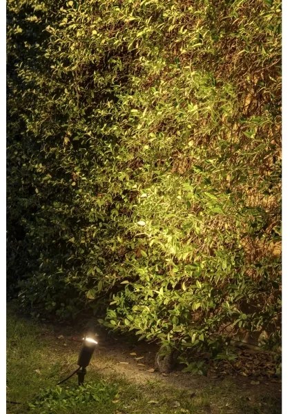 FARO 71528 - Kültéri lámpa TONI 1xGU10/8W/230V IP65