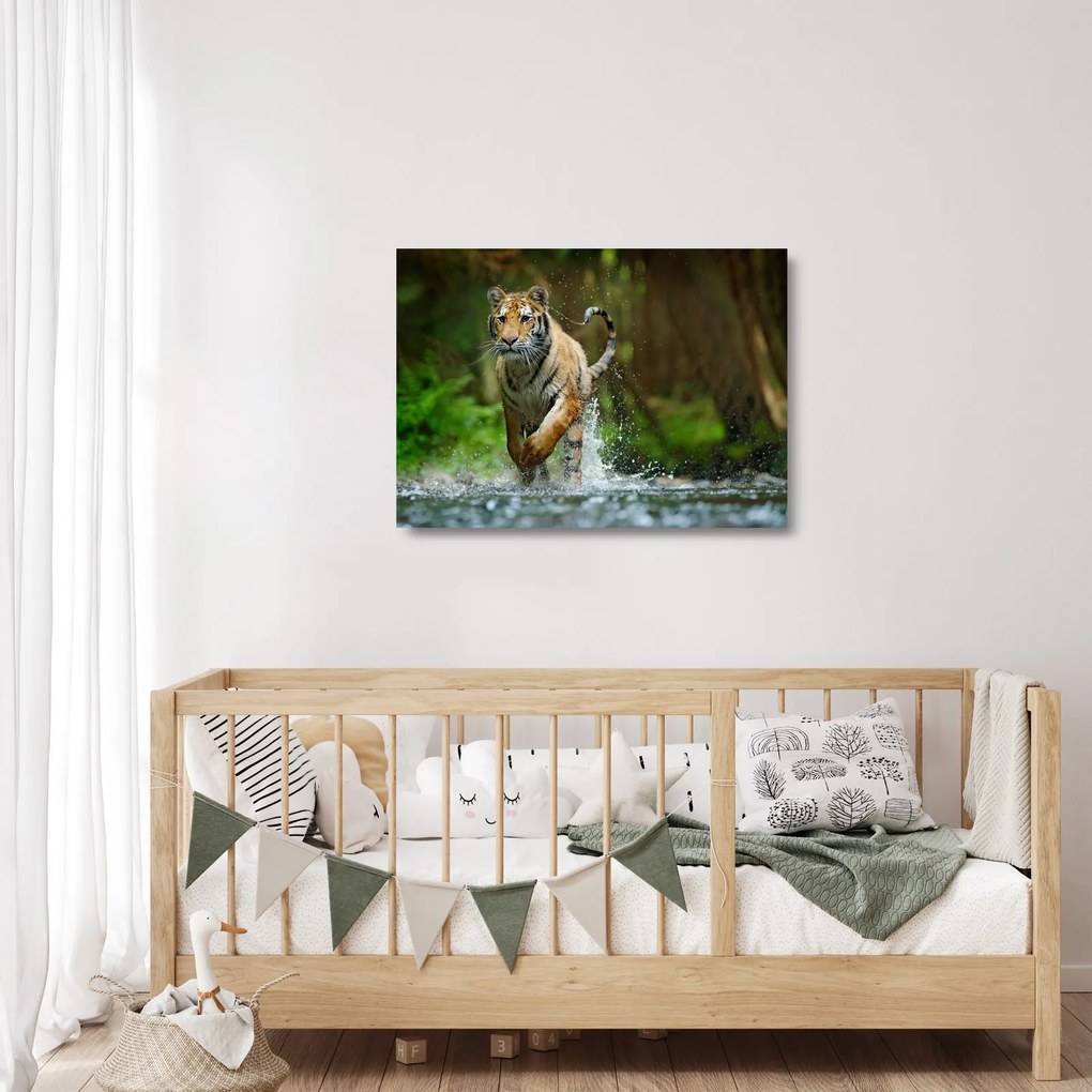 Futó tigris képe (üvegen) (70x50 cm)