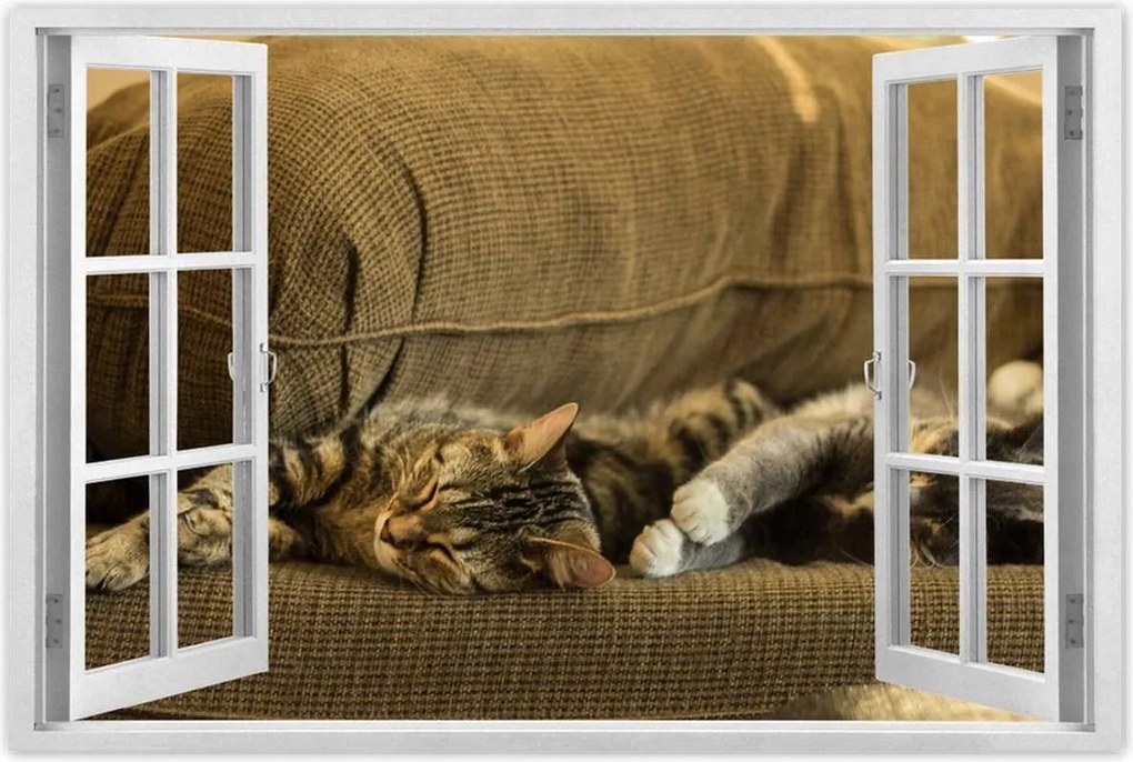 Poszterek 120x80 Cica Cicák