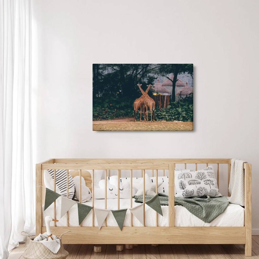 Két zsiráf képe (90x60 cm)