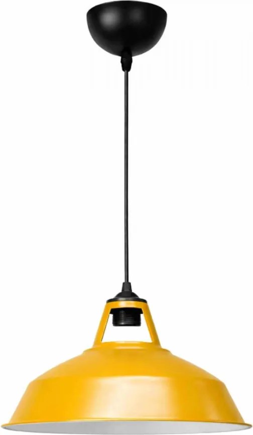 242561