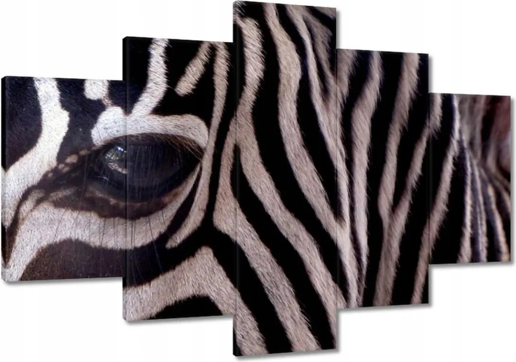 Festmények 120x80 Makro fotó zebra