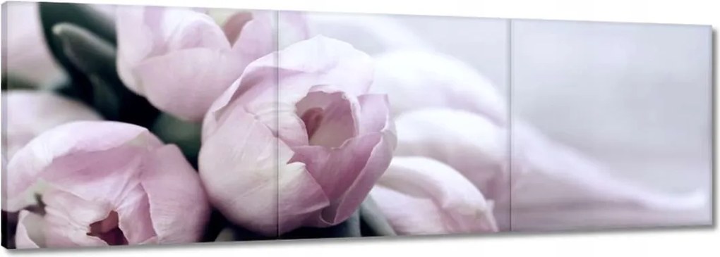 Vászonkép 120x40 Tulipánok Virágok