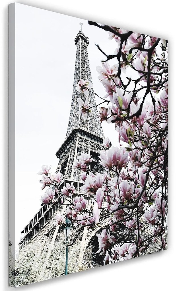 Gario Vászonkép Eiffel-torony és magnóliák - Dmitry Belov Méret: 60 x 90 cm