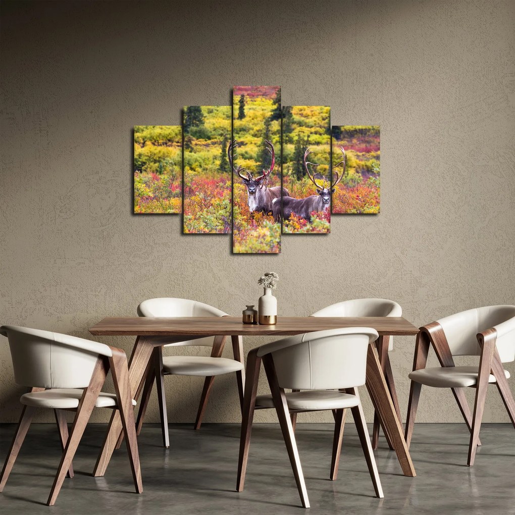 Kép - Caribou, Alaszka (150x105 cm)