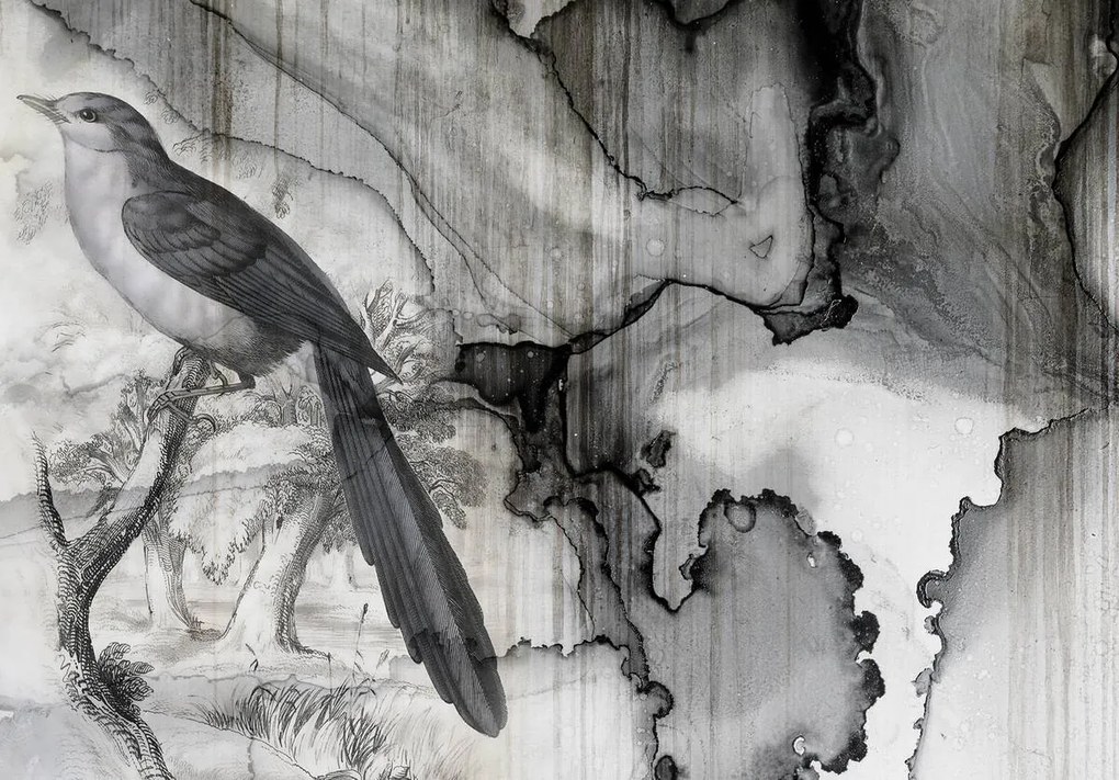 Fotótapéta - Madár - kiömlött tinta (152,5x104 cm)